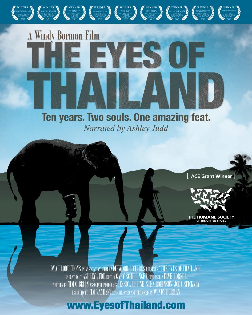 The Eyes of Thailand Movie poster