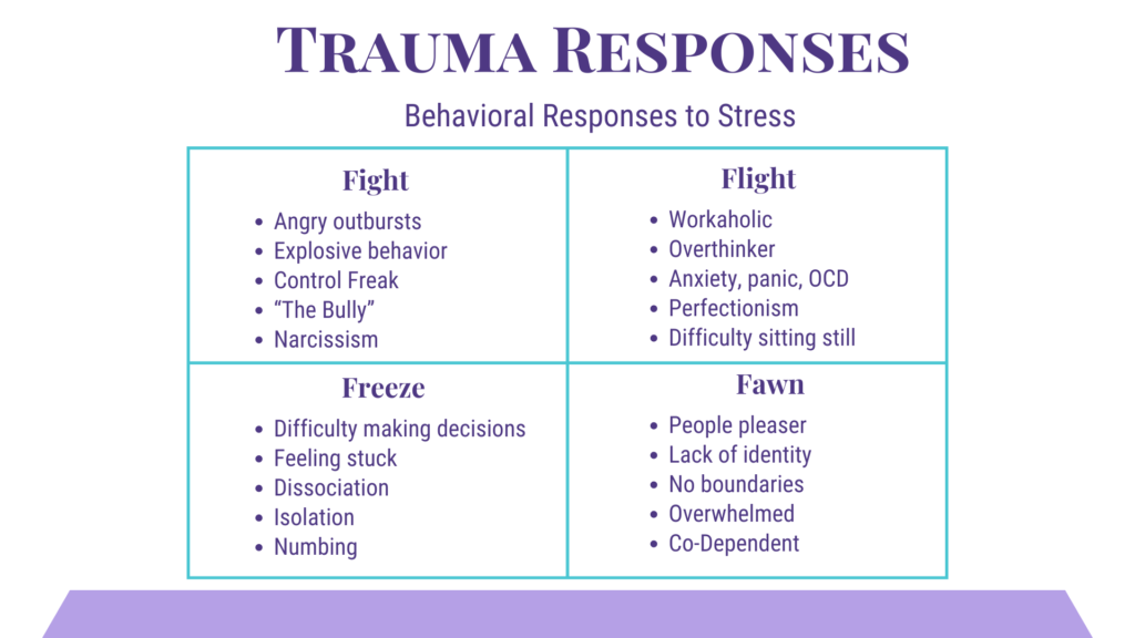 A chart showing the four trauma responses, also known as behavioral responses to stress. They are: Fight, Flight, Freeze, and Fawn.